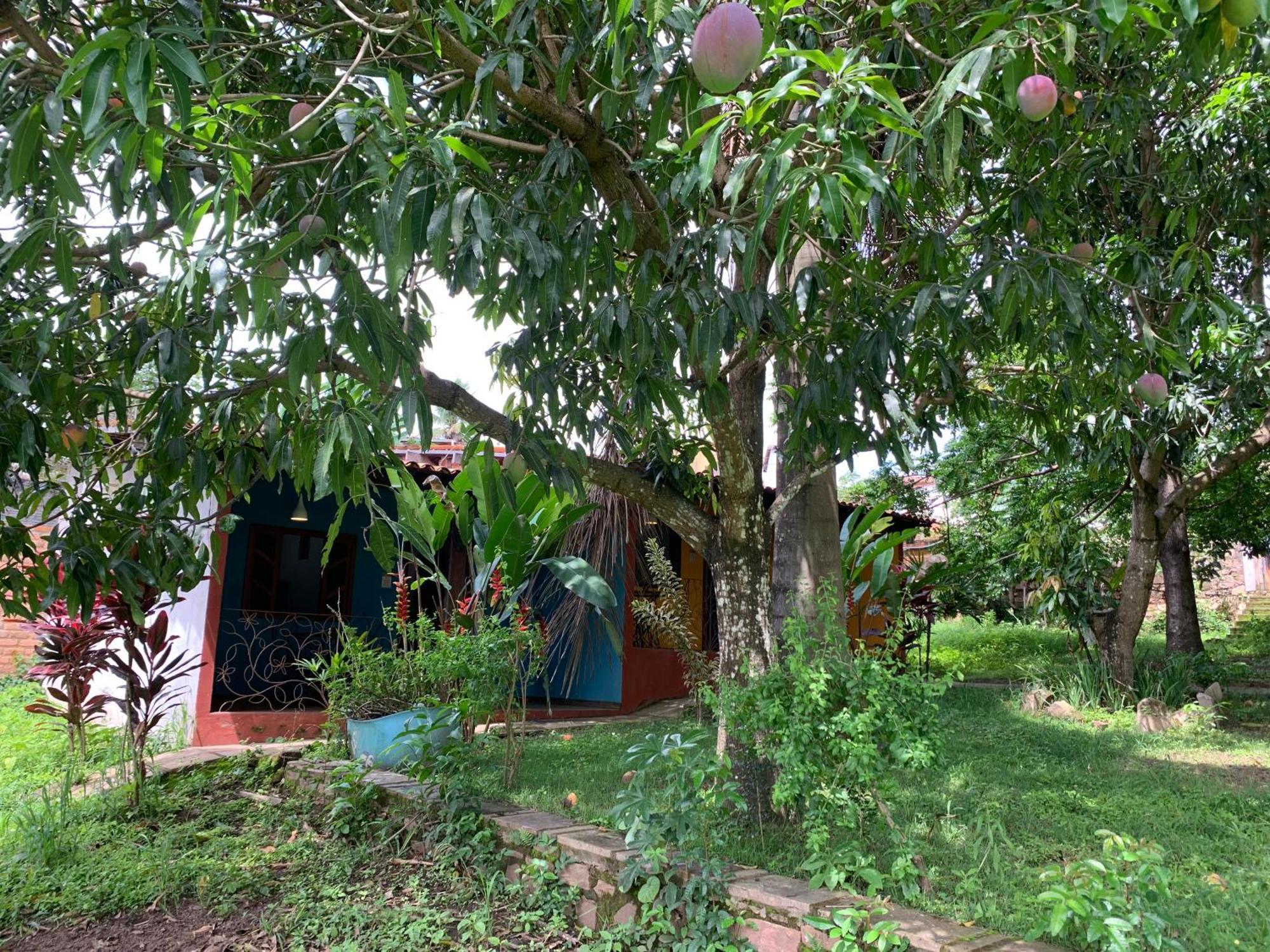 Pousada E Camping Lumiar Lencois Eksteriør bilde